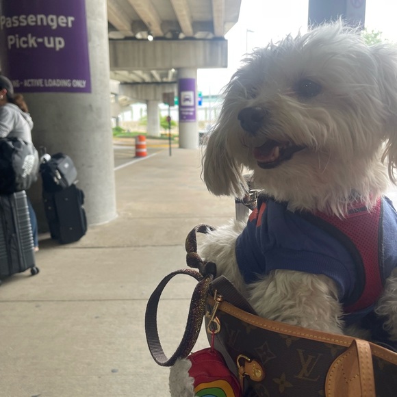 Meet your Posher, Emily - Picture 3 of 5